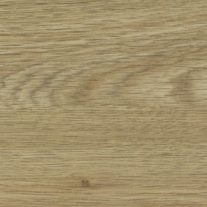 Coriander Oak